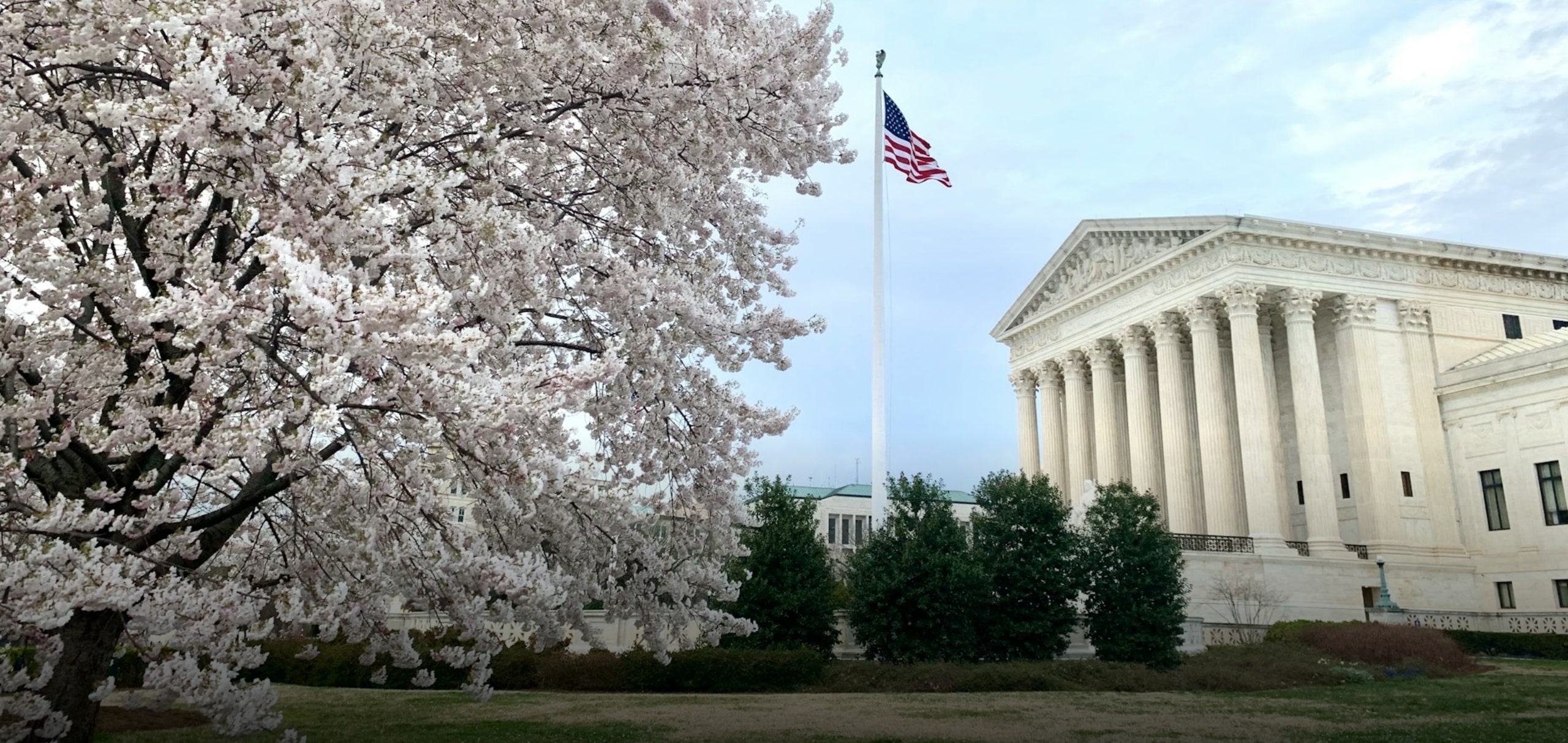 Supreme Court and Appellate Practice